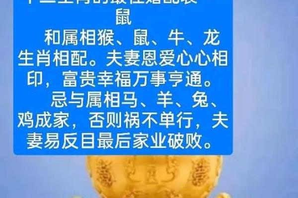 老鼠和什么属相最配对 老鼠和哪个属相最佳配对