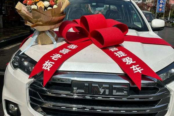 属羊的2024年11月宜提新车吉日 哪天适合买新车