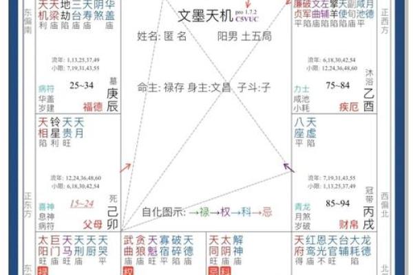 免费紫薇命运斗数