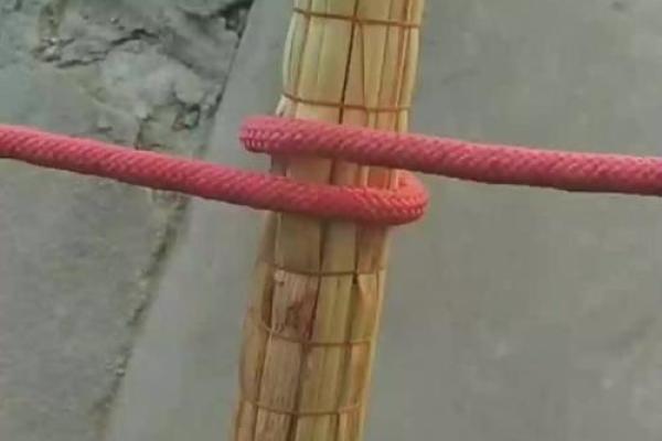 八字绑皮筋