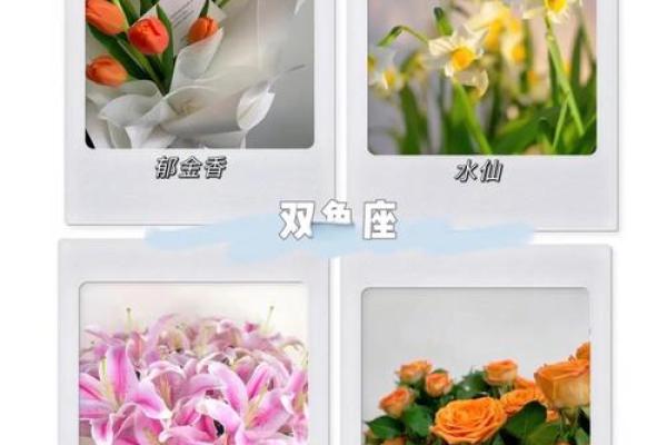 星座花语大全：每个星座的专属花语解读