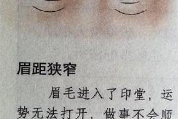 眉毛算命