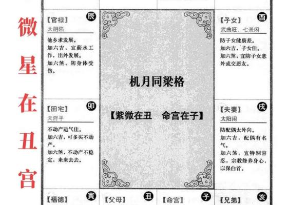 紫薇斗数科技紫微网