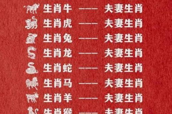 生肖名字配对姻缘 生肖取名字大全？