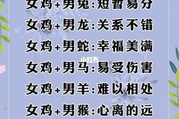 生肖配对属鼠属鸡的婚姻怎么样