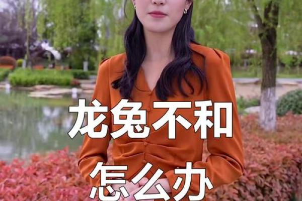 生肖兔与龙配对姻缘 生肖兔与龙相配吗？