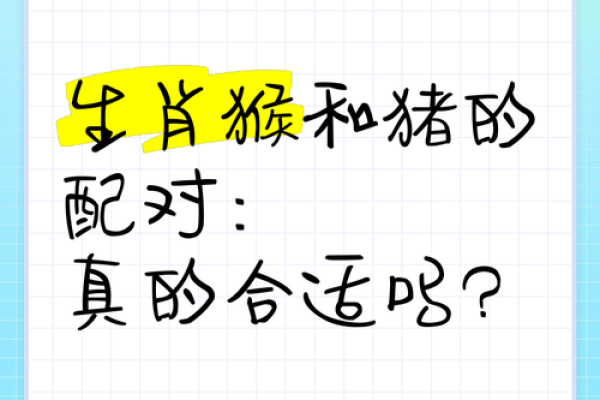 属猴男和什么属相配对