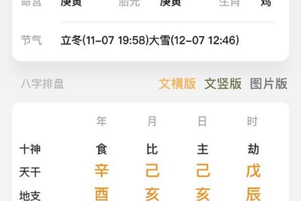 八字癸亥日