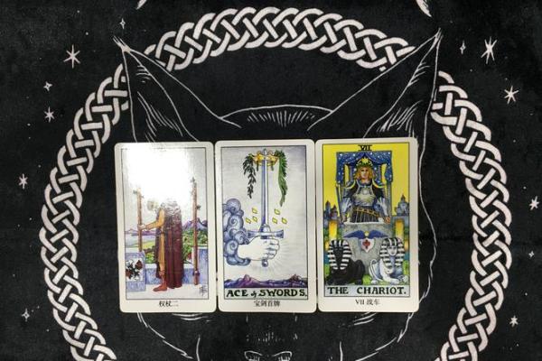 塔罗牌测试，单身贵族的八月桃花运