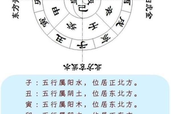 八字十二地支详解
