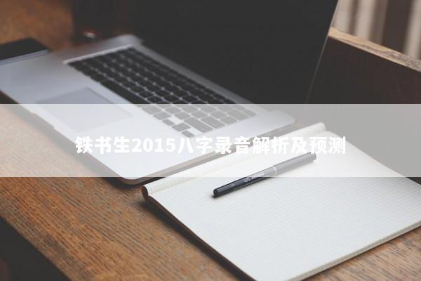 铁书生2015八字录音解析及预测