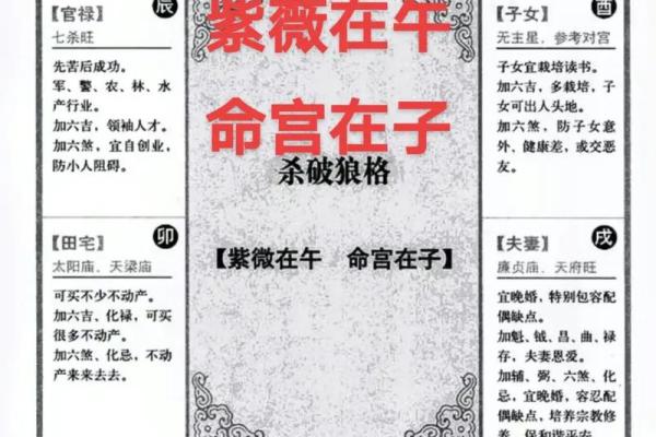 紫薇斗数会变
